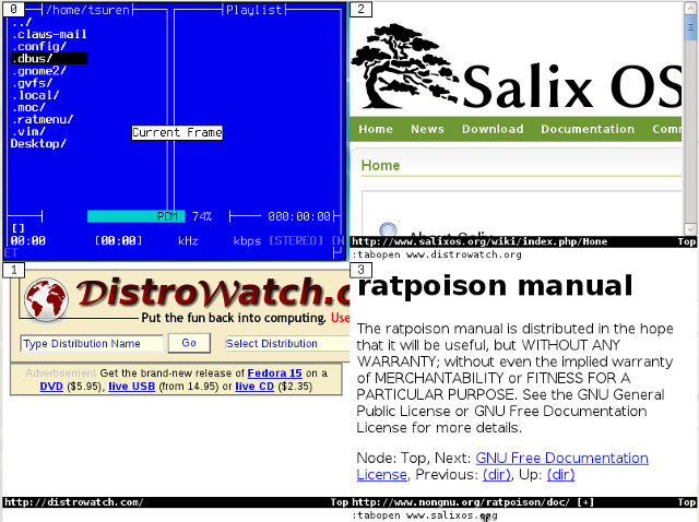 Screenshot of Vimprobable multiple Windows browsing