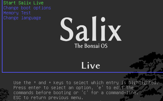 Instructions below the Salix Live Boot menu