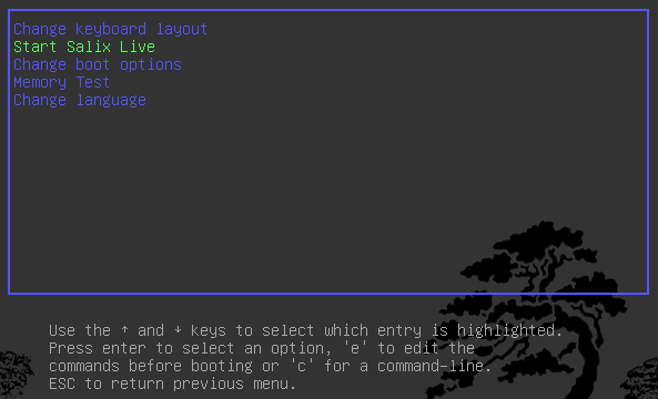 Screenshot of Boot Menu edition options