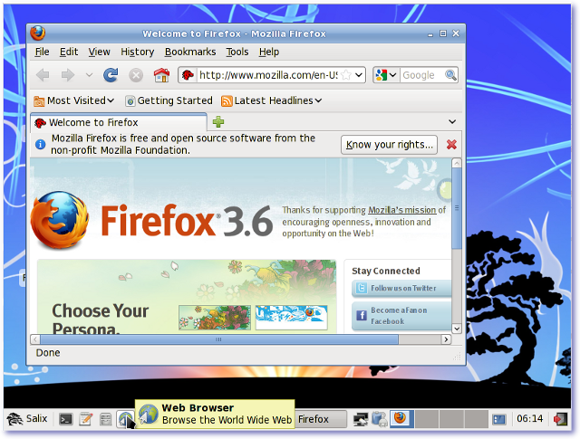 Captura de pantalla de Mozilla Firefox