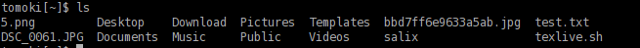 Captura de pantalla de una terminal con un comando simple